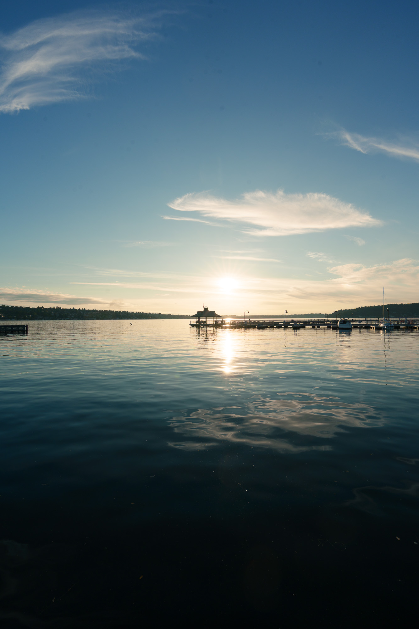 Portfolio photograph, Seattle 2026