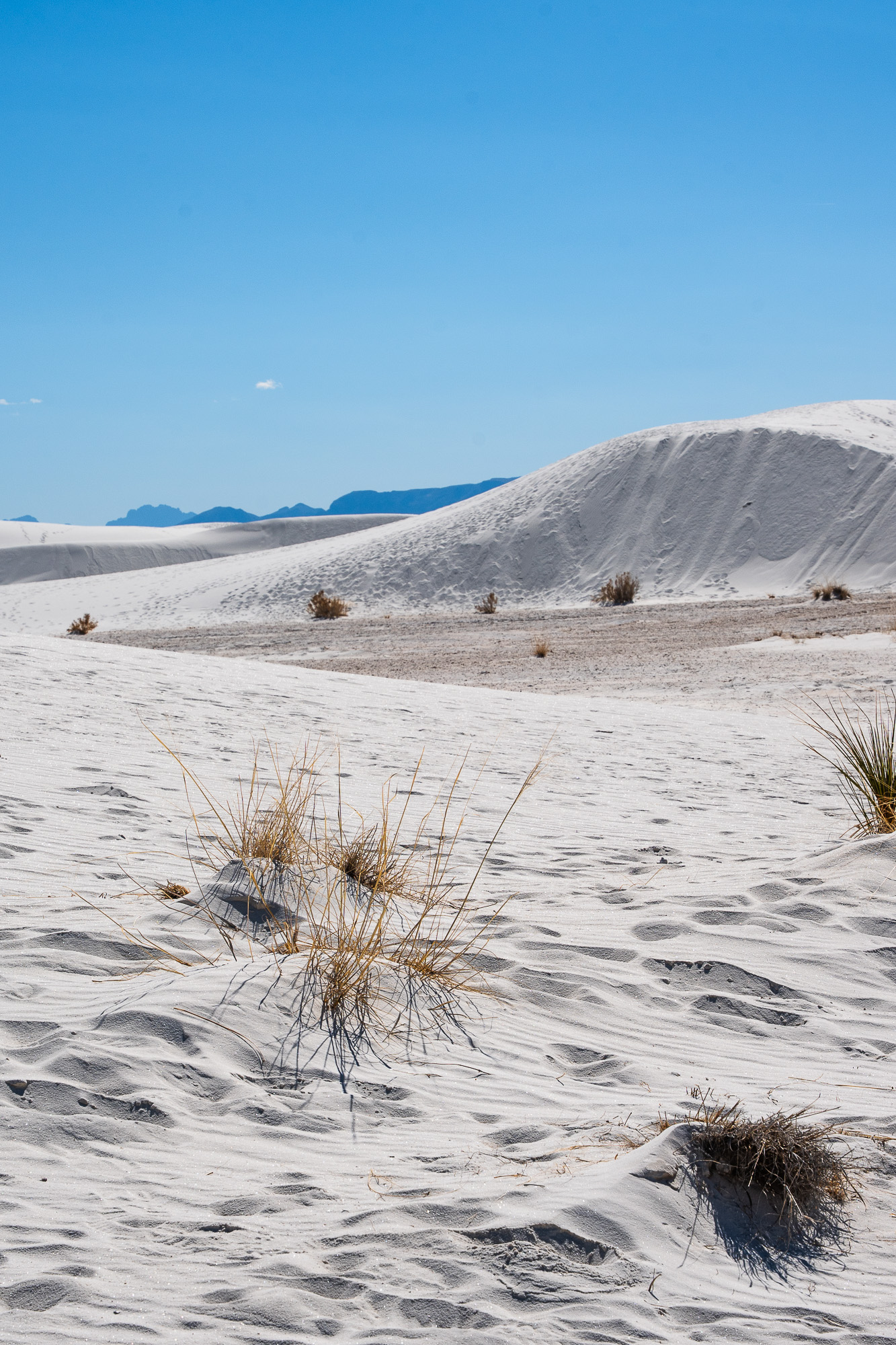 Portfolio photograph, White Sands 2026
