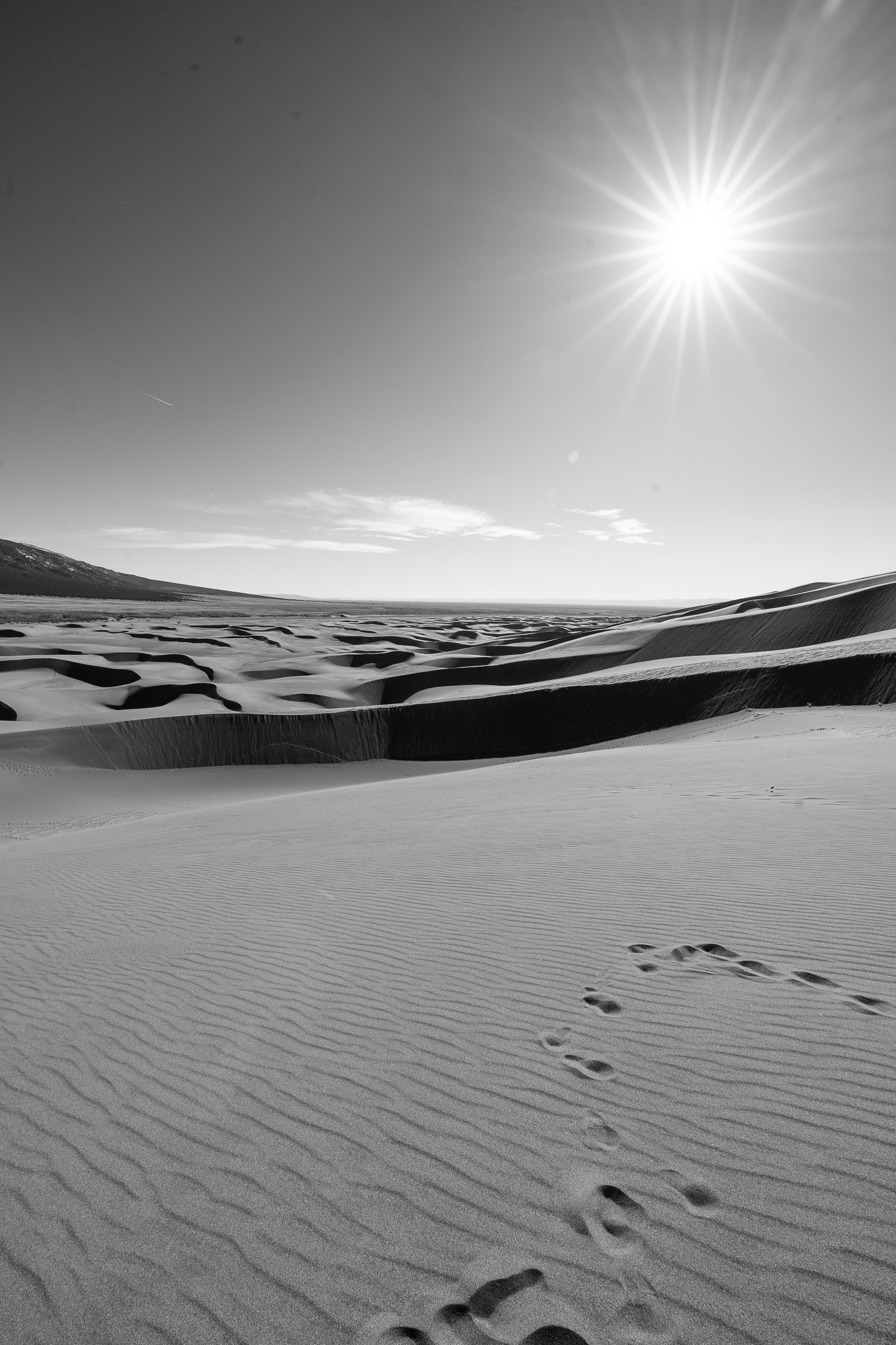 Portfolio photograph, Big Sands 2026